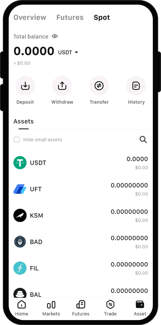 What Can I Do After I Buy AltSwitch (ALTS)?